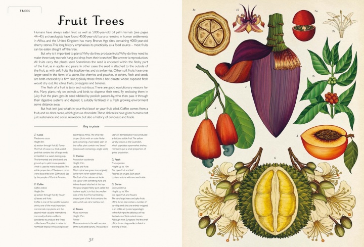 pages_from_botanicum_internals