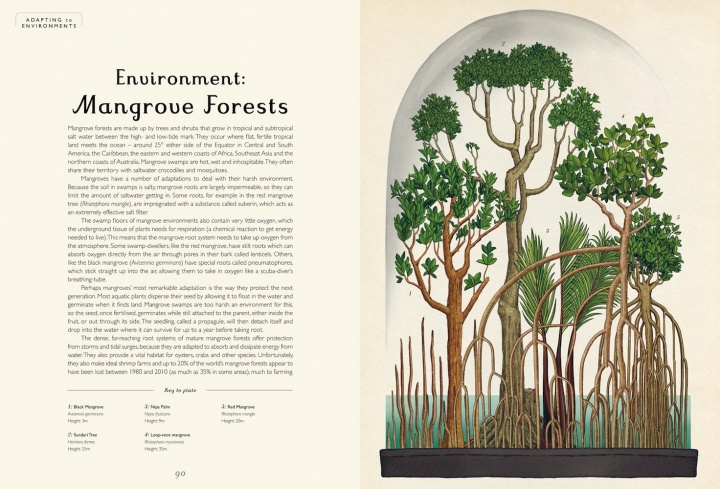 pages_from_botanicum_internals_-4